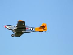 DSCF3515